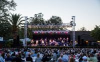 Rocking the Vineyard: Tribute Bands Captivating Crowds at American Wineries