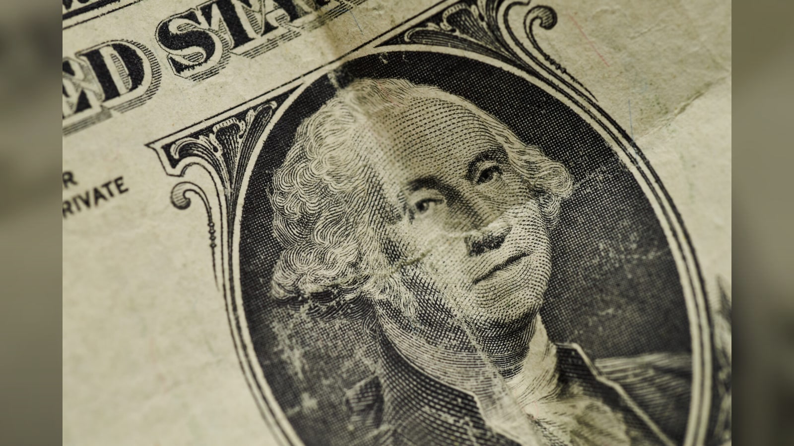 shot stash macro paper money 004
