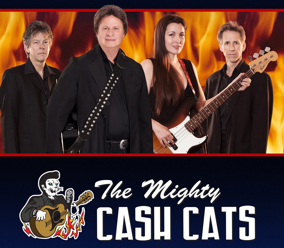 Mighty Cash Cats