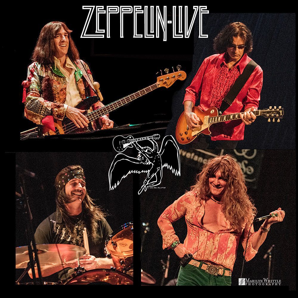 zeplive2019-whittle1000