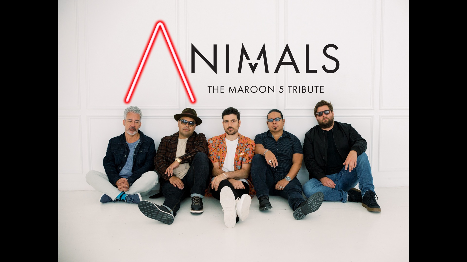 Animals The Maroon 5 Tribute Mz Tribute Bands